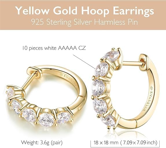 Evabelle Gold Hoop Earrings for Women 14K Real Gold Plated Cubic Zirconia Diamond Hoop Earrings Huggie Hoop Earring Women Earrings Earring for Men 925 Sterling Silver Post Hypoallergenic