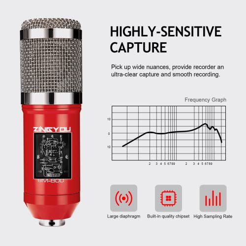 Zingyou Condenser Microphone Bundle, Bm-800 Pc Microphone Professional Cardioid Studio Mic Set With Mic Suspension Scissor Arm, Shock Mount And Pop Filter For Studio Recording & Broadcasting (Aurora R #TOP4