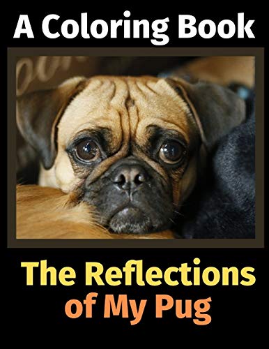 The Reflections of My Pug: A Coloring Book