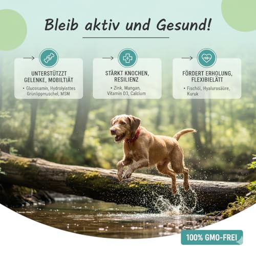 Vivylo 90 Grünlippmuschel Hundeleckerli | 270g | Gelenktabletten mit Glucosamin, Kollagen, Kurkuma, MSM für Gelenke und Knochen - Leckerlis für aktive & älternde Hunde mit Vitamin C, D3 und Zink
