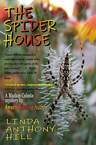 THE SPIDER HOUSE: A Madam Celeste Mystery: 2