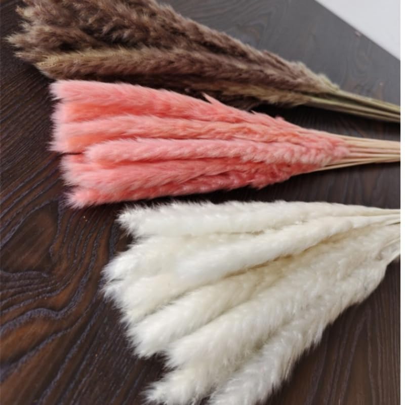 Pampas Grass Large 15pcs Decoración Artificial miniatura 5