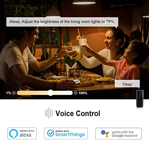 3-Way Smart Wifi Toggle Dimmer Light Switch, In-Wall, No Hub Required, Compatible With Alexa/Google Home, Etl And Fcc Listed (Wf31Ts) #TOP3