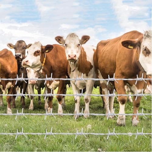 Fil barbelé robuste à 4 points pour la protection de propriété et usine