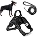 Trongle Hundeweste, Nicht ziehendes Geschirr mit Griff, einfache Kontrolle, komfortabel, atmungsaktiv, Air-Mesh, Verstellbarer Brustgurt für große Hunde mit Nylon-Leine(Schwarz,L)