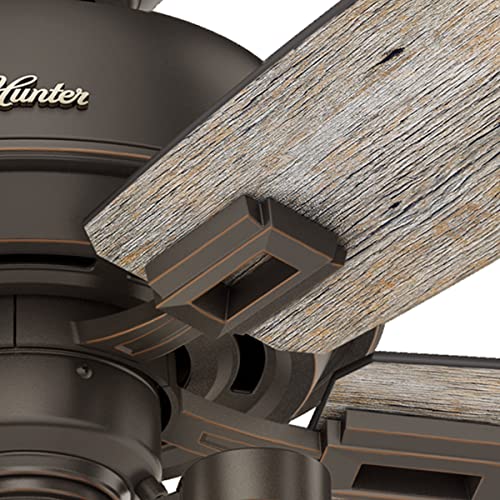 Hunter Fan Company, 53336, 52 Inch Donegan Onyx Bengal Ceiling Fan With Led Light Kit And Pull Chain #TOP6