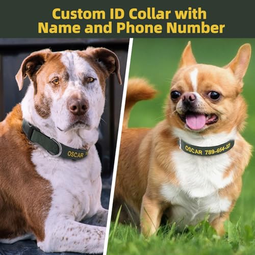 Hundehalsband Personalisiert mit Namen und Telefonnummer Bestickt für XS Kleine Mittlere Große Hunde(Armeegrün)