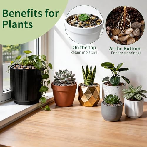 Image of Small Rocks for Plants,3 /8 inch Small Pebbles,1lbs Small River Rocks Decorative Pea Gravel,Pebbles for Indoor Plants, Vases, Bamboo, Succulent, Terrarium, Crafts, Cactus