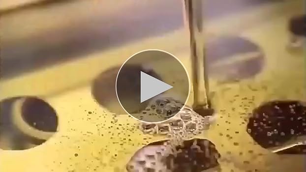 Amazon.co.jp: SEASAND 電気フライヤー 6L 業務用 家庭用 卓上