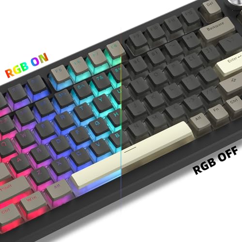 Image of Womier PBT Shine Through Keycaps for Mechanical Keyboard, Pudding Keycaps | Keycaps 60% 75% 100% Keyboard 143 Keys,Custom Keycap Set OEM Profile for Gateron Cherry MX Switches,Grey Brown-Only Key caps