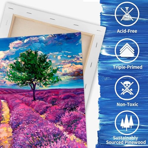 Image of FIXSMITH Stretched Canvas for Painting, 5 inchx7 inch, 8 inchx10 inch, 11 inchx14 inch, Pack of 3, Pre-Primed Canvases Wood Framed, Blank White Painting Canvas Boards for Acrylic, Oil and Gouache Painting
