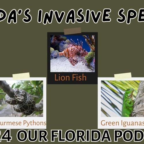 EP#24 The History of Invasive Species in Florida