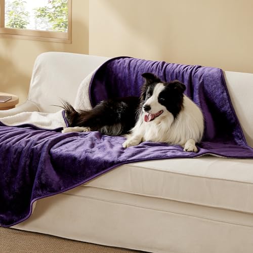 Image of Bedsure Waterproof Dog Blankets for Extra Large Dogs - XL Cat Blanket Washable for Couch Protection, Sherpa Fleece Puppy Blanket, Soft Plush Reversible Throw Furniture Protector, 50x60, Eggplant