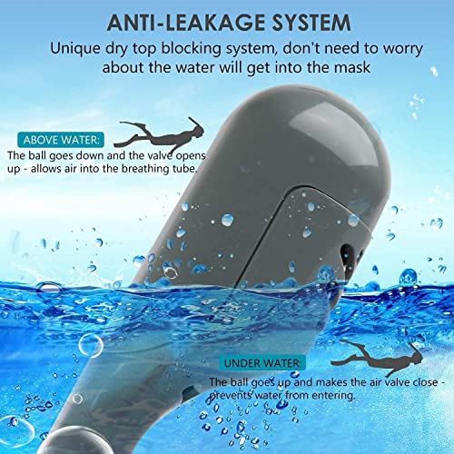 Image of Delavala Full Face Snorkeling Mask Diving Gear - Dry Top System,180 Degree Panoramic View Snorkeling Mask with Camera Mount,Safe Breathing,Anti-Leak Anti-Fog-Swim Fins (Grey - Large /X-Large)