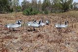 FUD Fold Up Lesser Canada Goose Decoy - 6 Foldable, Collapsible Full Size Canadian Goose Decoys for