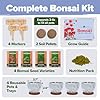 HOME GROWN Bonsai Tree Kit – Premium Ceramic Starter Set with 4 Bonsai Varieties – Easy Indoor Gardening Gift for Men & Women – Unique Plant Kit for Beginners & Nature Lovers #1