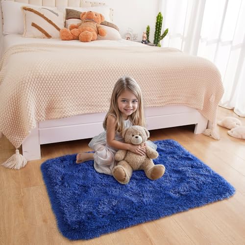 Small Bedside Rug, 2x3 Non Slip Fluffy Shaggy Entryway Throw Rugs for Bedroom Living Room, Indoor Floor Carpet for Kids Girls and Boys, Nursery Rooms Mat, Home Decor Aesthetic, Blue