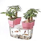 JARDÍN DE AGUA DE TODO EL AÑO: el dúo de jardín de agua Back to the Roots le permite cultivar un jardín de plantas suculentas o de interior durante todo el año: puede cultivar plantas verdes hidropónicas o arreglar flores
