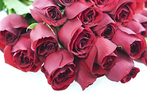 Bouquet Of Long Stemmed Red Roses (Two Dozen) - The Kabloom Collection Flowers Without Vase #TOP3