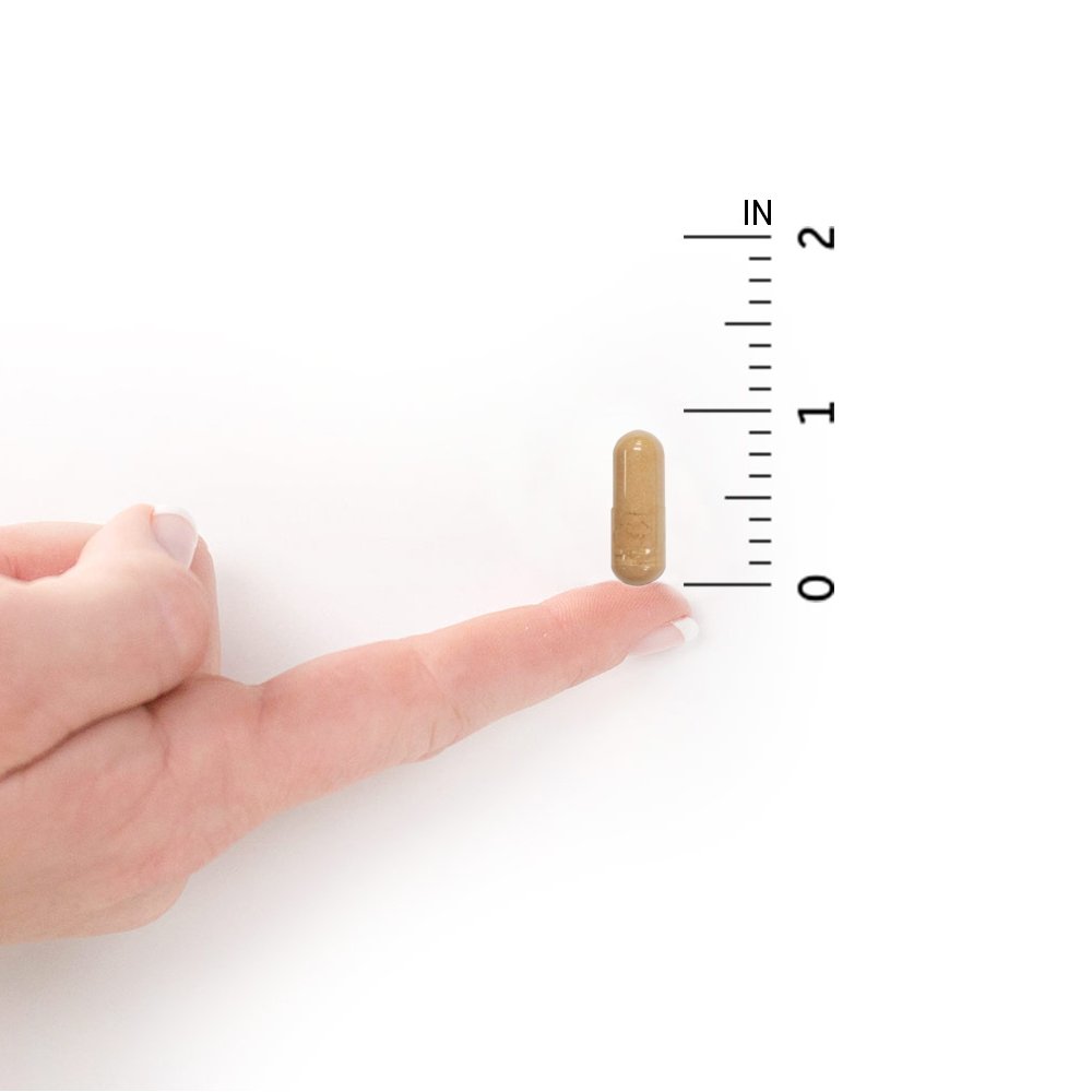 Buy Garden of Life Raw Probiotics for Women's Vaginal Health Vaginal