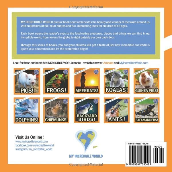 Sloths!: A My Incredible World Picture Book for Children (My Incredible World: Nature and Animal Picture Books for Children) - Image 2