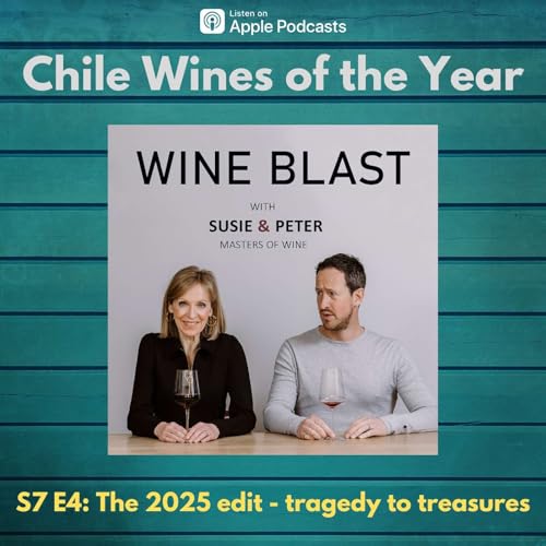 Chile Wines of the Year 2025