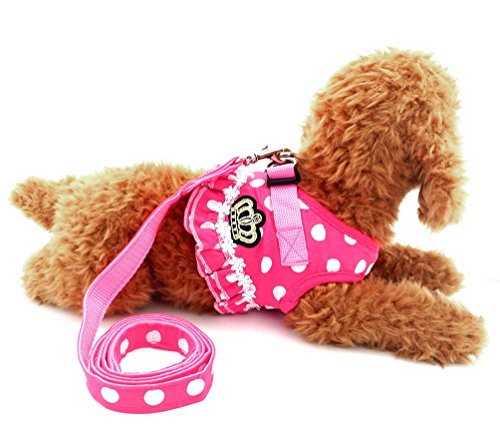 selmai Puppy klein Katze Mädchen Hund Vest Dots Harness Leine-Set Mesh Gepolsterte kein Ziehen Blei