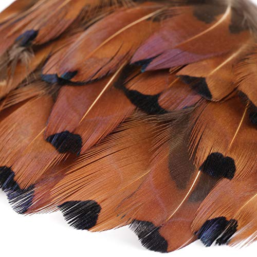Mwoot 9 Styles Assorted Crafts Feathers, 180Pcs Diy Dreamcatcher Crafts Art Decor Feathers, Diy Earring Wings Carnival Party Mask Activities Project Accessories Small Feather - Mixed Green Blue Brown #TOP5