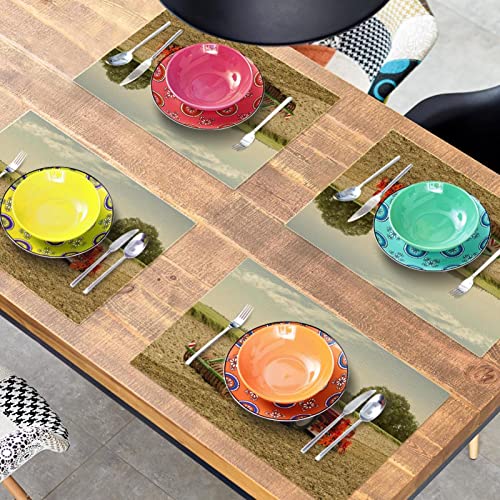 Sets de table Harvester Farm de qualité supérieure durables de 30,5 x 45,7 cm - 8