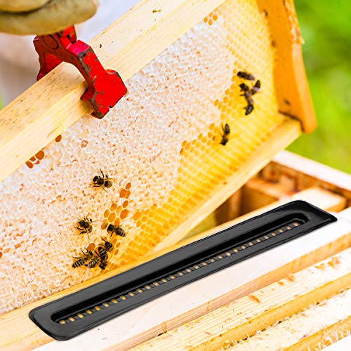 Beetle-Blaster-Beekeeping-Tools-Plastic-Beekeeping-Supplies-10