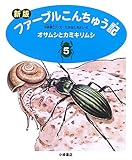 immagine banner Amazon