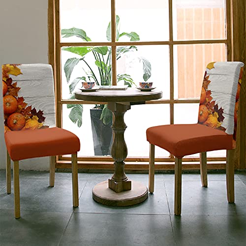 Fallchaircoverssetof4thanksgivingchaircoversfordiningchairsorangepumpkinmapleleafvintagefarmwoodenplankstretchremovablechairslipcoversfordiningroomkitchenholidayparty  Urban Country Home Decor Fall chair covers set of 4 thanksgiving chair covers for dining chairs orange pumpkin maple leaf vintage farm wooden plank stretch removable chair slipcovers for dining room kitchen holiday party  urban country home decor