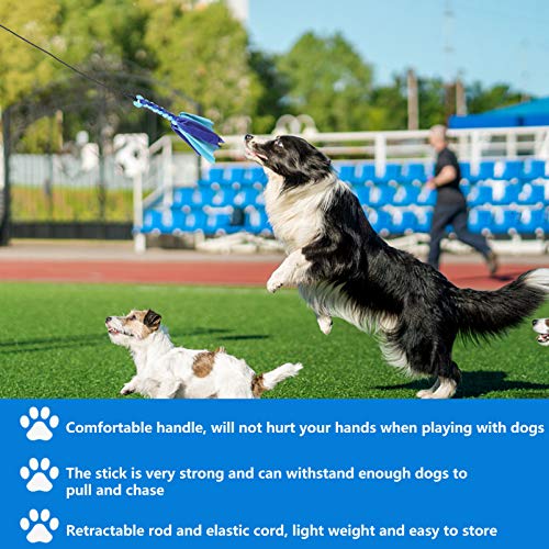 Brinquedo para cães Balacoo para uso ao ar livre com corda de lã para animais de estimação, brinqued