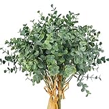 Fácil de mantener: Las hojas falsas de color verde no requieren un mantenimiento tedioso, como el exceso de agua y la tierra suelta. Ponlos en un lugar fresco y ventilado como decoración. Si hay polvo, límpielo con un paño.