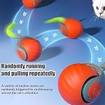 Speedy 2.0 Tail 2 Packs Interactive Cat Toys for Indoor Cats, Automatic Cat Toy with Tail, Electric Rolling Ball on Carpet,Cat Toys for Bored Indoor Adult Cats - Image 2