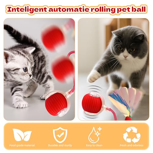 Interactive Cat Toys Ball - 2025 New Gen with Smart Obstacle Avoidance,Auto Wake-Up & 3-Speed Adjustable,Includes 2 Speedy Tail 2.0 Ropes, Ideal Kitten Toys for Bored Indoor Cats (Green)