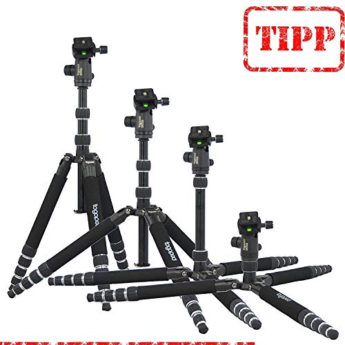 Fotostativ togopod Luisa II aus Aluminium 1,60m inklusiv 360° Kugelkopf + Tasche + Schnellwechselplatte. (Packmaß 35cm… – Bild 3