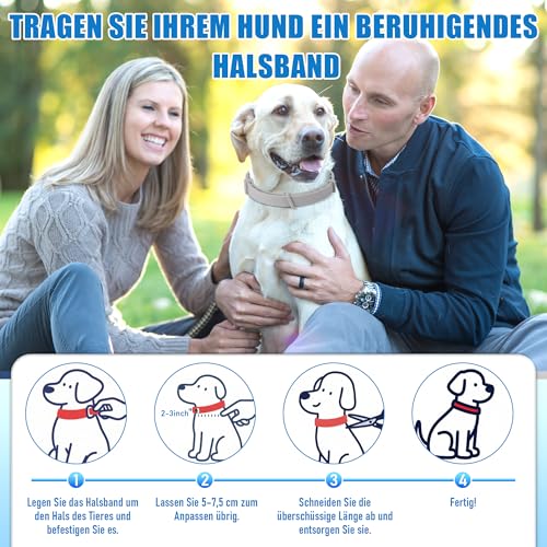 Yineaae 6 Stück Beruhigungsmittel Calm Halsbänder für Hunde mit Pheromon, Beruhigung Hund Hilft Unerwünschtes Verhalten zu Reduzieren, Stressabbau, Hält 120 Tage, Flexibel Einstellbar für Alle Hund