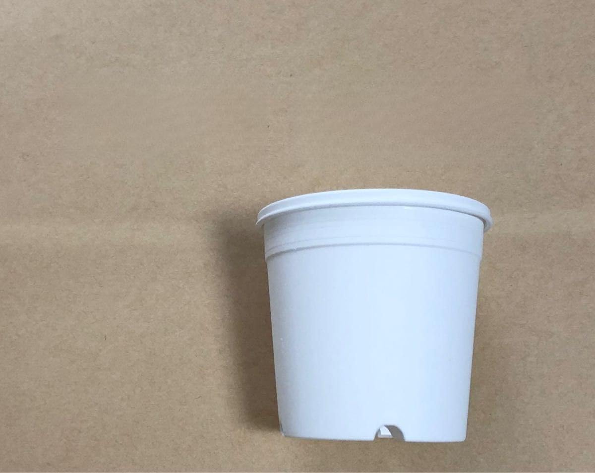 自然(じねん) スイーム社 入浴剤『自然(じねん)』 ヒマラヤ 岩塩 採掘