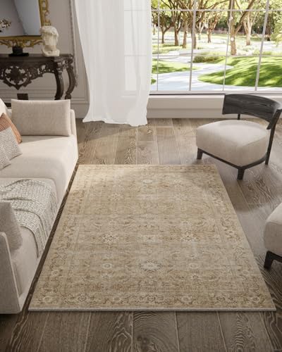 Washable Boho Area Rug for Bedroom: 4'x6' Rug Stain Resistant Tribal Distressed Vintage Accent Rug Non Slip Low Pile Soft Area Rug for Entryway Living Room Bedside Kitchen Office Dorm Entrance