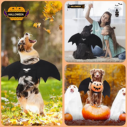 Vivifying Fledermausflügel Hund, Halloween Hundekostüm Fledermaus Flügel mit Kürbisglocke, Einstellbar Fledermaus Flügel Cosplay Dekoration(Hals: 12,6-20,5 Zoll/Brustumfang: 13,5-24,4 Zoll)