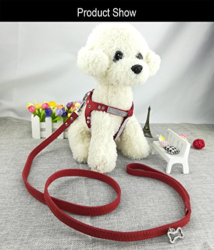 Newtensina Moda Cane Imbracatura con Diamante e