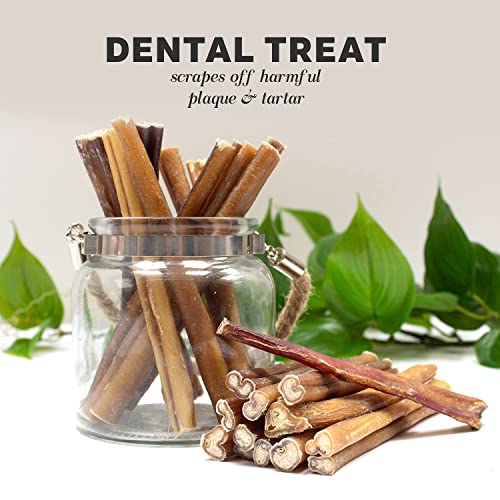 6-inch Bully Sticks for Dogs - Pack of 12 - Nutrient-Rich and Odor Free - Rawhide Free - Long Lasting and Non-Splintering