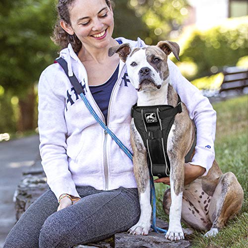 Kurgo Dog Harness | Pet Walking Harness | Medium | Black | No Pull Harness Front Clip Feature for Training Included… - Image 3