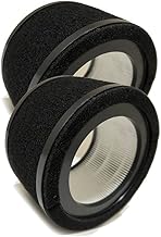 Nispira Replacement Filter L True HEPA + Activated Carbon Pre Filter Compatible with GermGuardian Air Purifier AC4200W FLT4200, 2 Packs