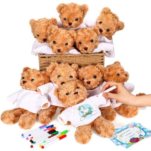 Blueweenly 40 Pieces Valentine's Day Make Your Own Stuffed Bear Kit, DIY Plush Gift with Rose Velvet Bears, White T-Shirts, Watercolor Pens and Paper Cards, Brown