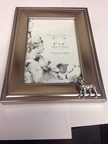 Cadre photo Rottweiler D15 pour décorer votre salon au format 15x10