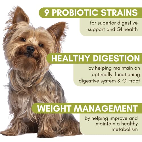 Wholistic Pet Organics Wholebiotics Supplement: Organic Dog Probiotic Powder - Cat Probiotic With Digestive Enzymes - Dog Probiotics For Diarrhea, Gas, Constipation, Upset Stomach, Allergies - 1 Oz #TOP1