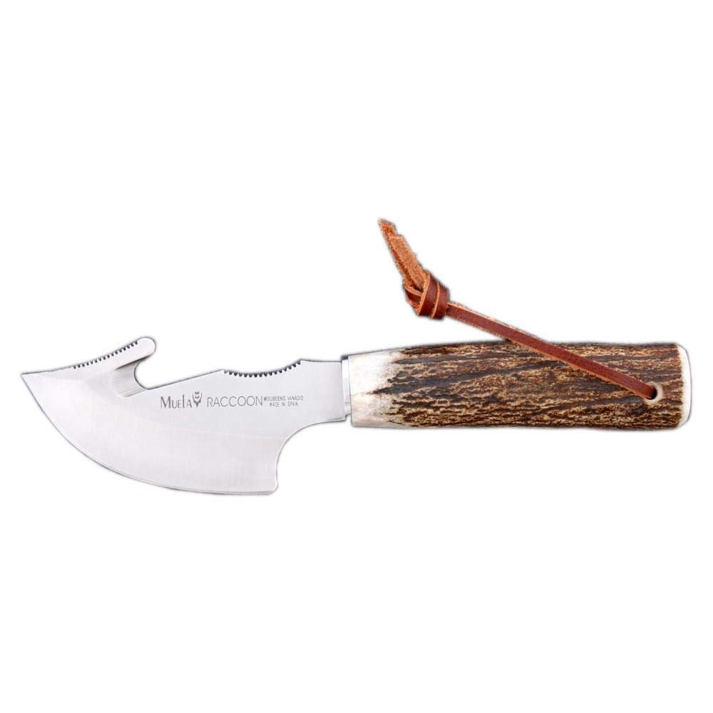 Muela Cuchillo de caza RACCOON-8A con hoja de acero inoxidable ACX-380 de 8 cm y empuñadura de asta de ciervo para Caza, Pesca, Supervivencia y Bushcraft + Portabotellas de regalo
