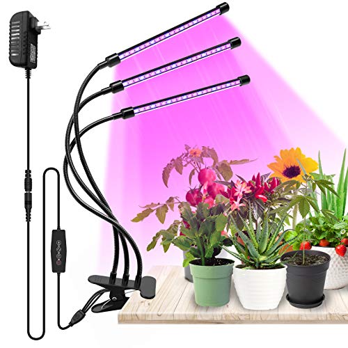 33+ Best Grow Lights for Succulents of 2021 (That Works GREAT!)